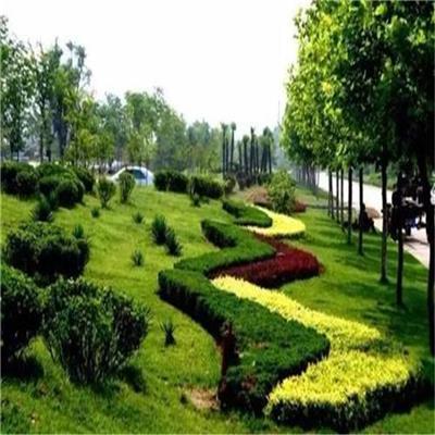 别墅花园景观设计 高埗园林景观绿化公司 景观绿化工程