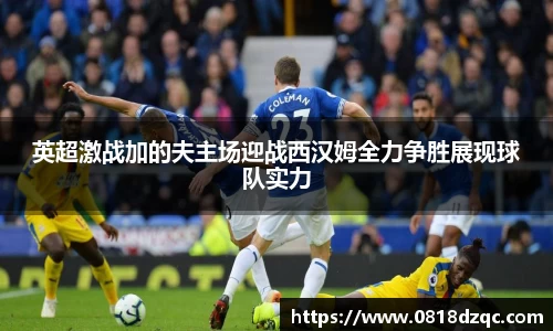 英超激战加的夫主场迎战西汉姆全力争胜展现球队实力
